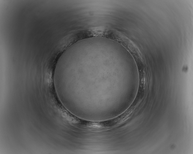 X0000097970610200803241237