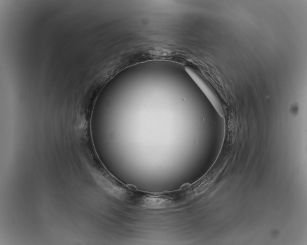 X0000097970614200803241237