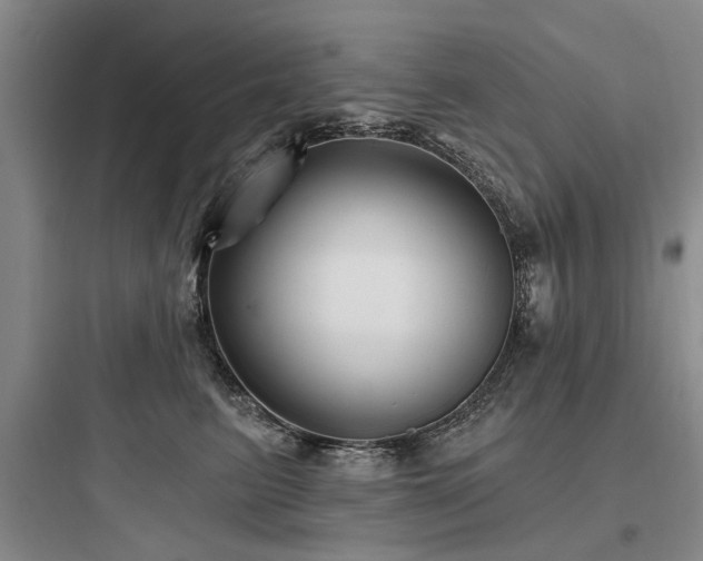 X0000097970615200803241237