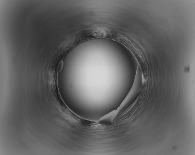X0000097970616200803241237