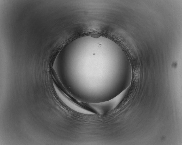 X0000097970617200803241237