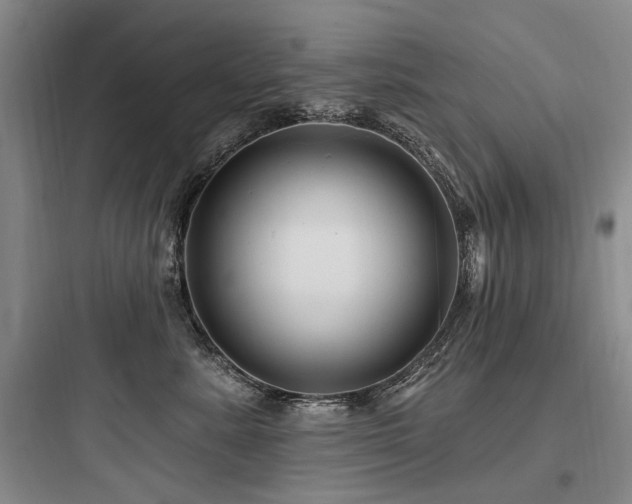 X0000097970619200803241237