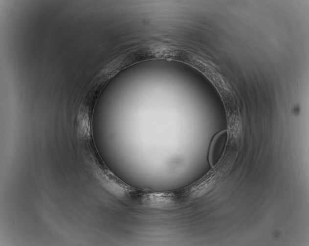 X0000097970622200803241237