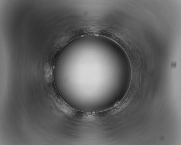 X0000097970624200803241237