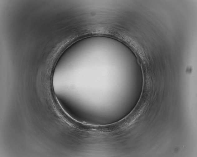 X0000097970625200803241236