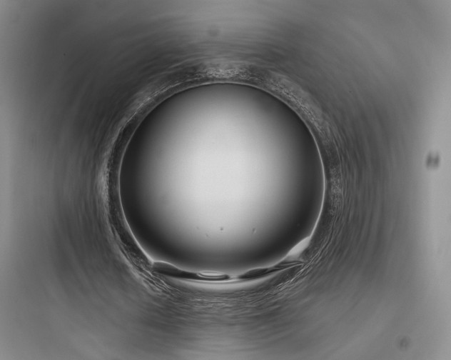X0000097970626200803241236