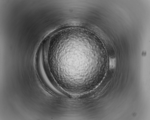 X0000097970627200803241236
