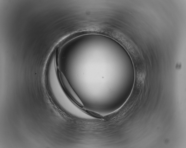 X0000097970628200803241236