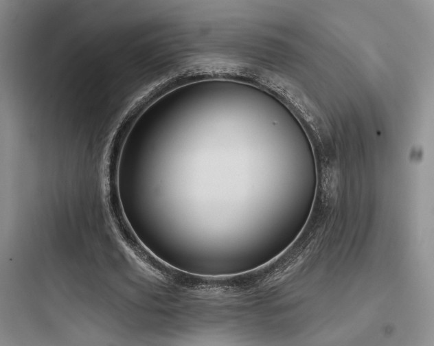 X0000097970629200803241236