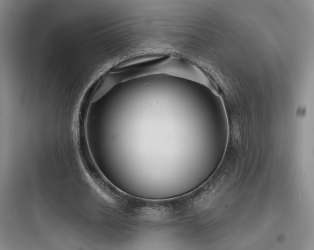 X0000097970630200803241236