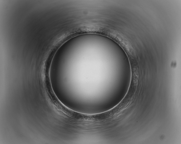 X0000097970631200803241236