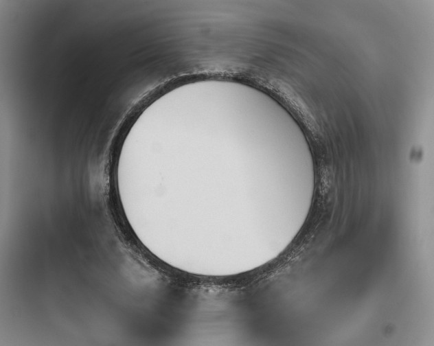 X0000097970632200803241236