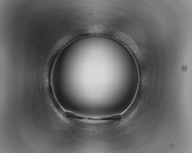 X0000097970633200803241236