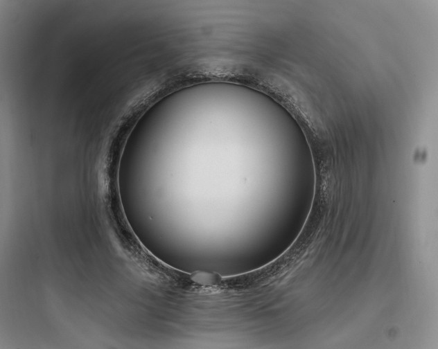 X0000097970635200803241236