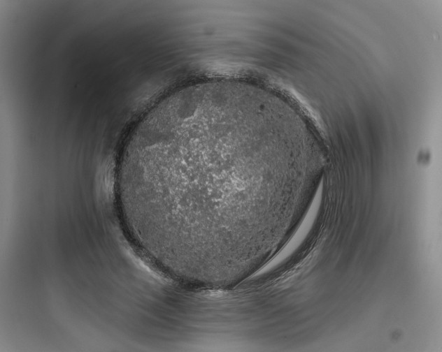 X0000097970637200803241236
