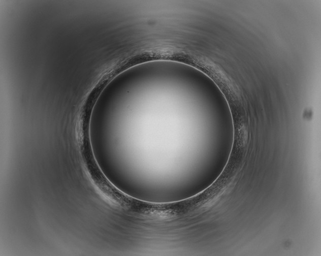 X0000097970638200803241236