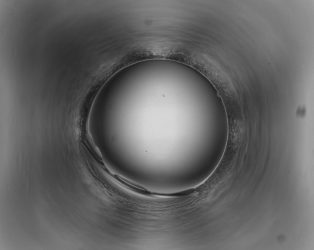 X0000097970639200803241236