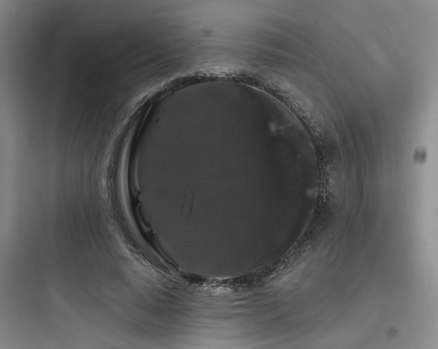 X0000097970640200803241236