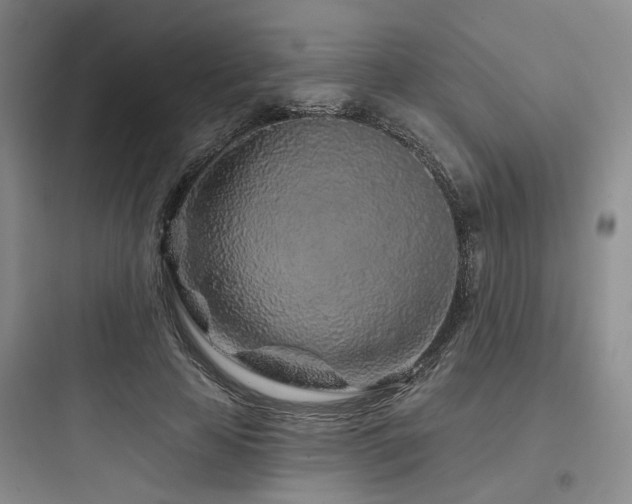 X0000097970641200803241236