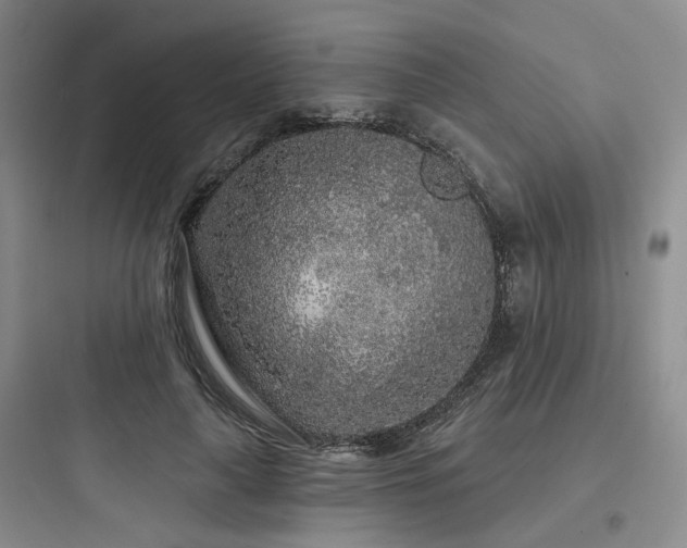 X0000097970643200803241236