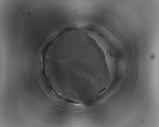X0000097970644200803241236