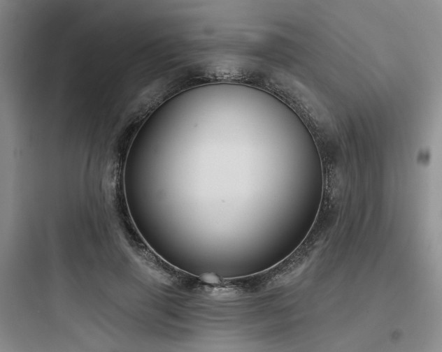 X0000097970645200803241236
