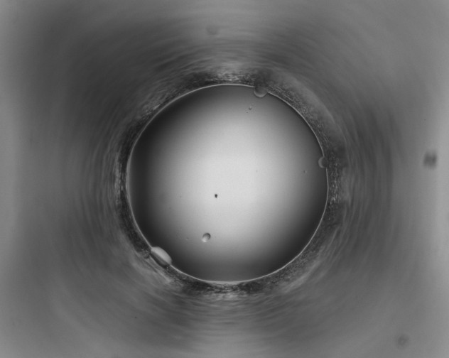 X0000097970646200803241236