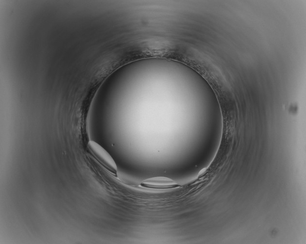 X0000097970647200803241236