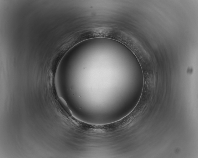 X0000097970649200803241236