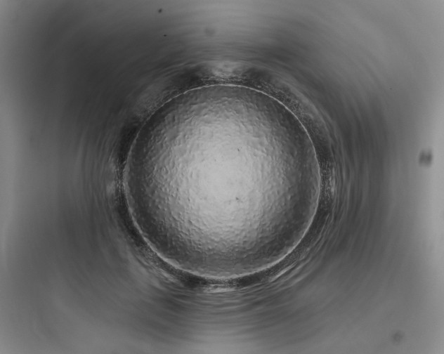X0000097970651200803241236