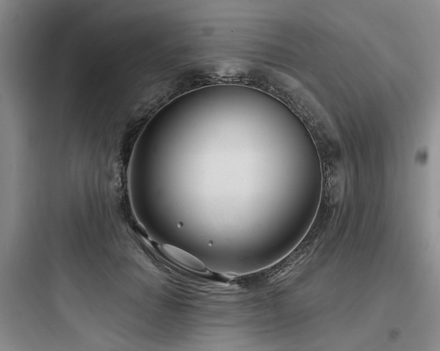 X0000097970654200803241236