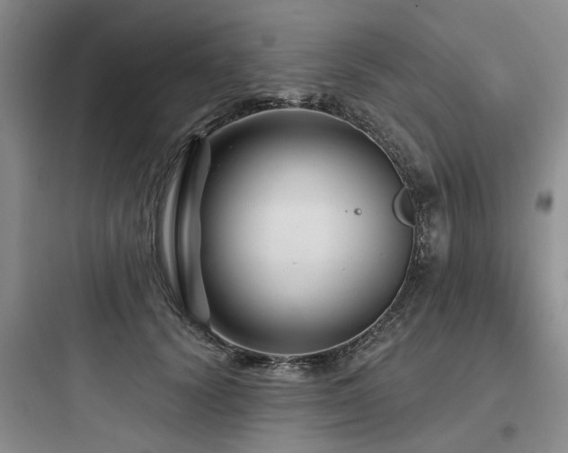 X0000097970656200803241236