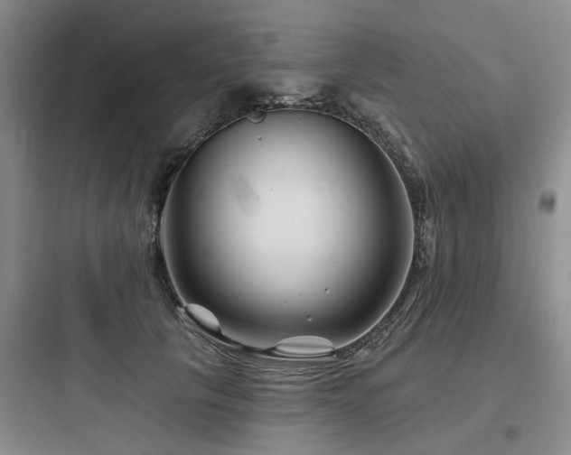 X0000097970657200803241236
