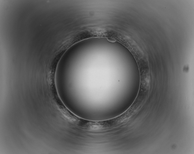 X0000097970658200803241236