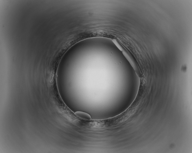 X0000097970660200803241237
