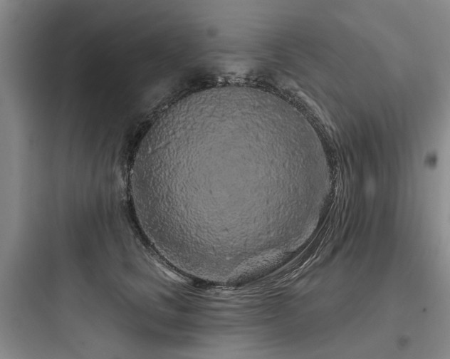 X0000097970661200803241237