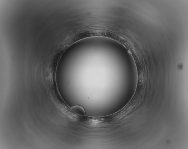 X0000097970662200803241237