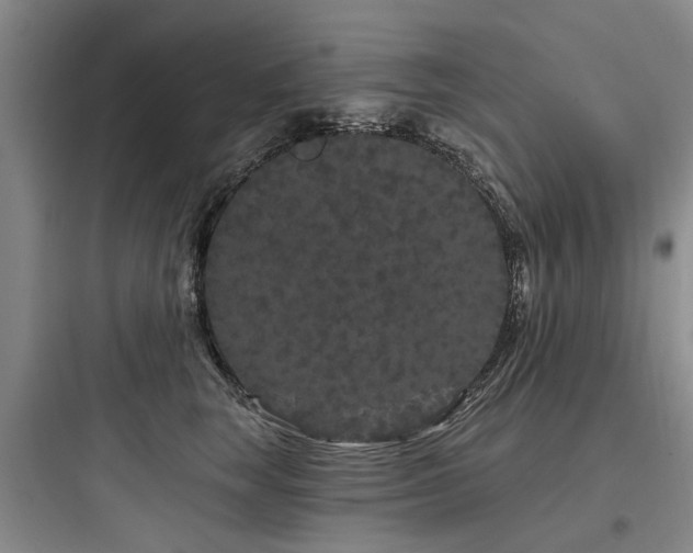 X0000097970663200803241237