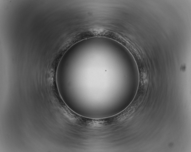X0000097970664200803241237