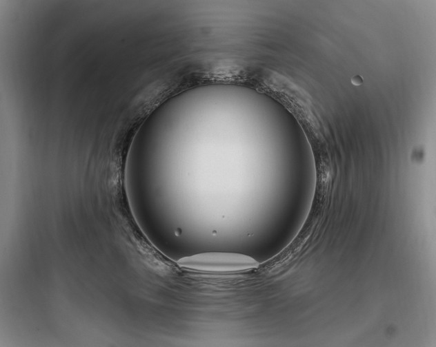 X0000097970665200803241237