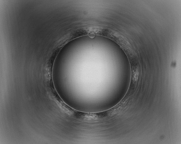 X0000097970666200803241237