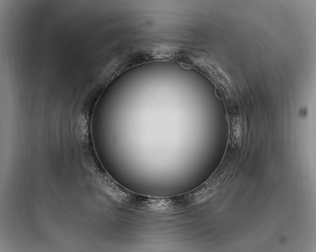 X0000097970667200803241237
