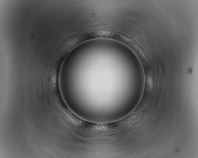 X0000097970668200803241237