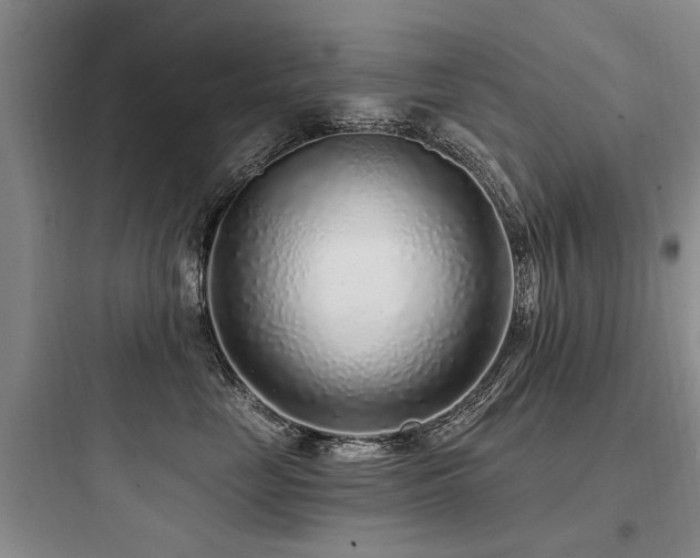 X0000097970669200803241237
