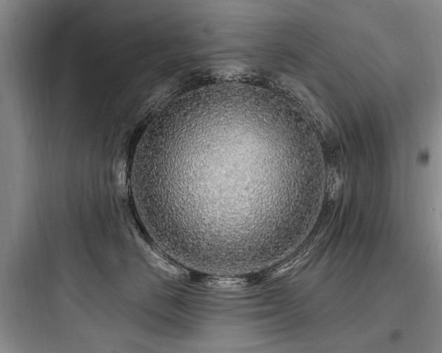 X0000097970670200803241237