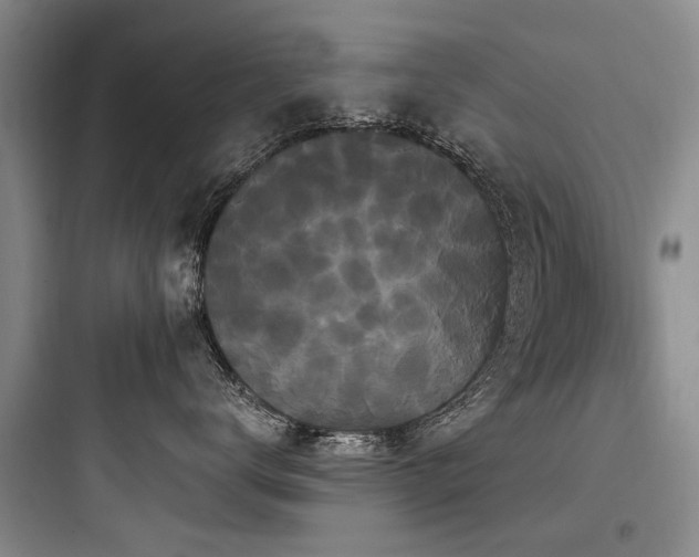 X0000097970672200803241237