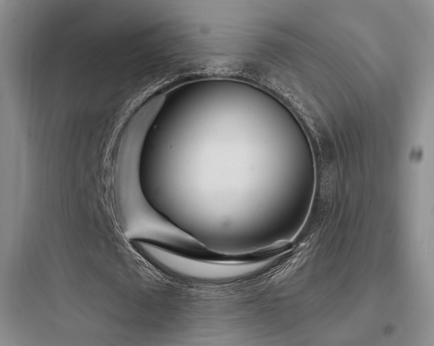 X0000097970673200803241236