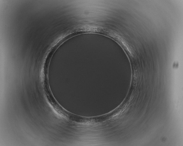 X0000097970674200803241236