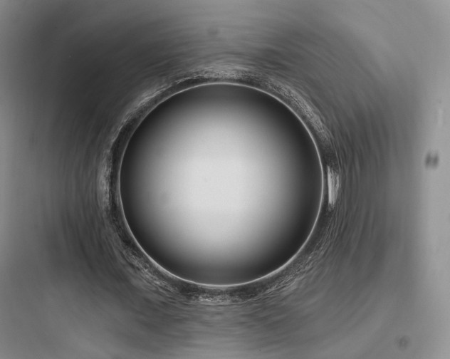 X0000097970675200803241236