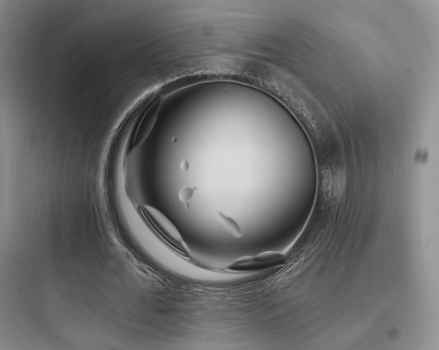 X0000097970676200803241236